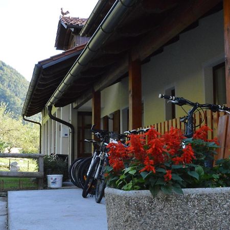 Tourist Farm Pri Kafolu Villa Tolmin Cameră foto
