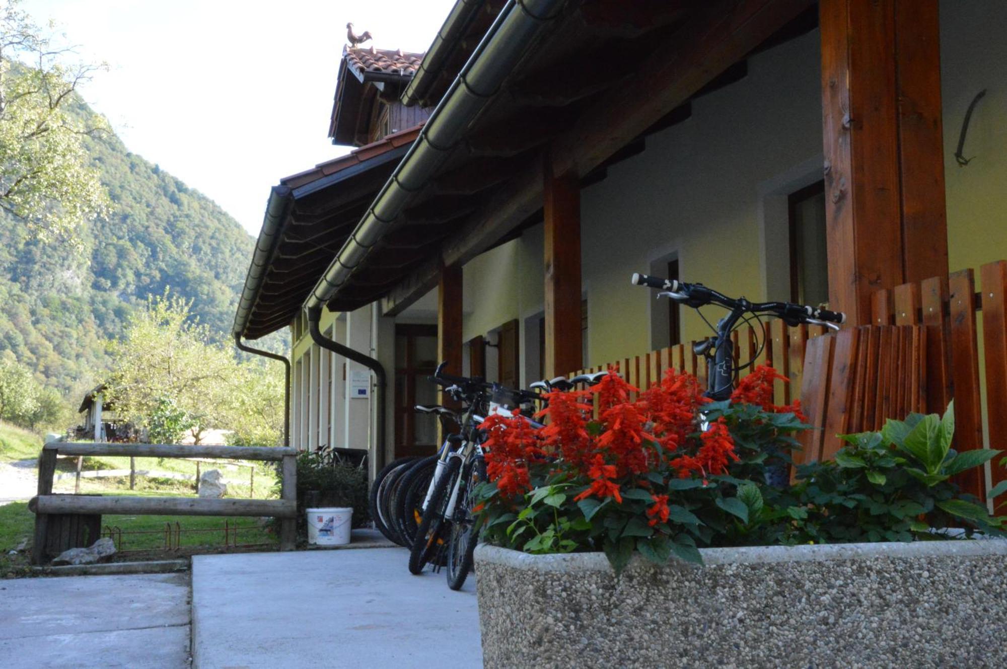 Tourist Farm Pri Kafolu Villa Tolmin Cameră foto